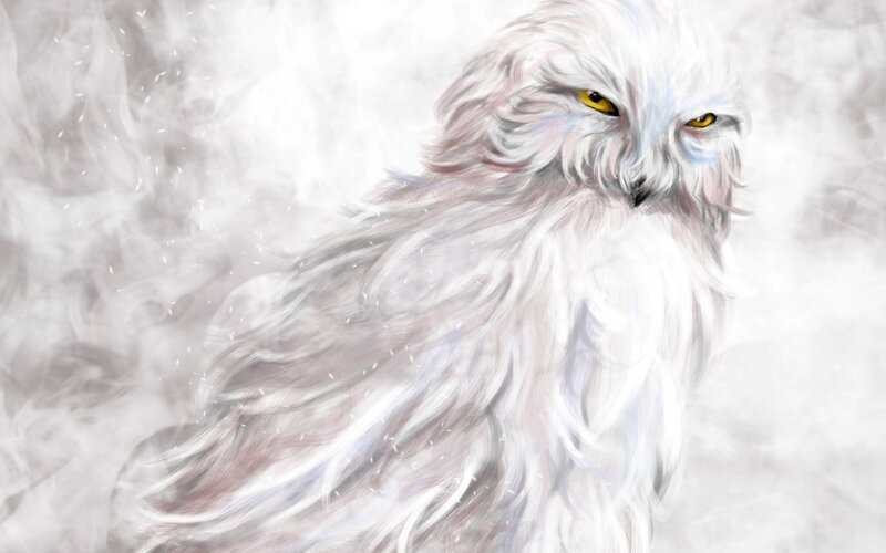 White Owl in Snow — Cold