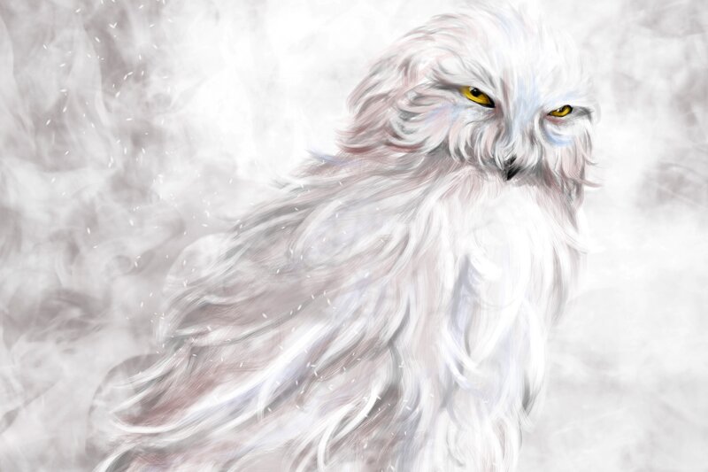white owl in snowy wind