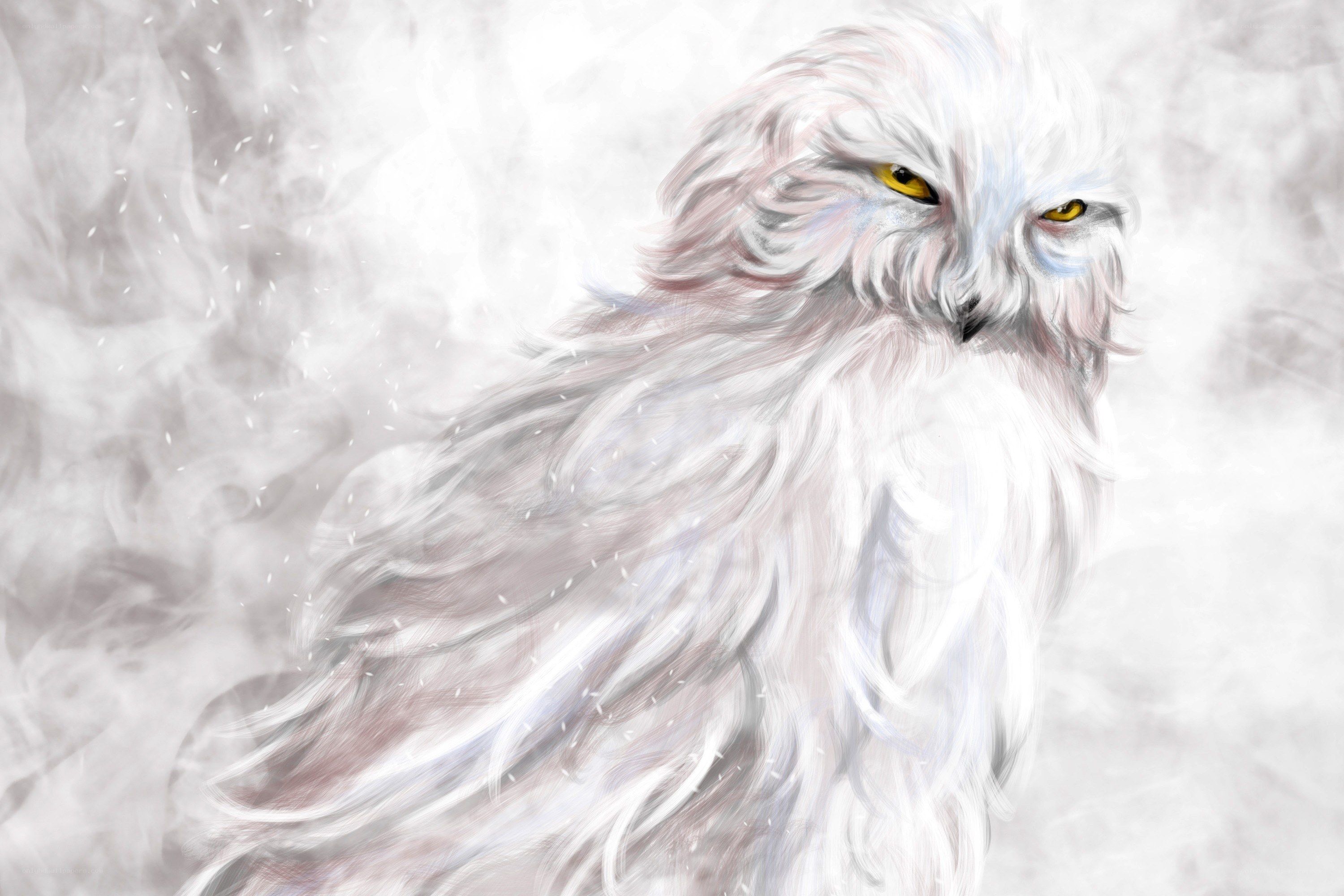 white owl in snowy wind