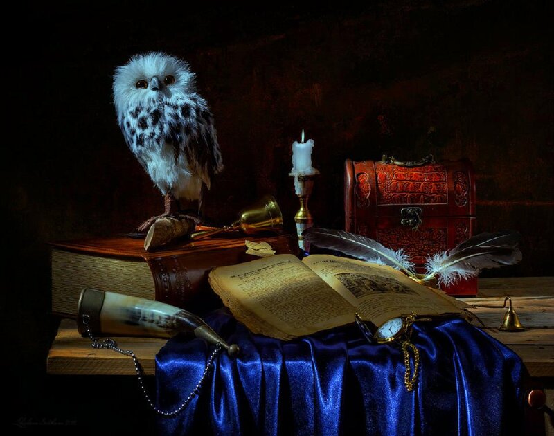 White Owl on Book