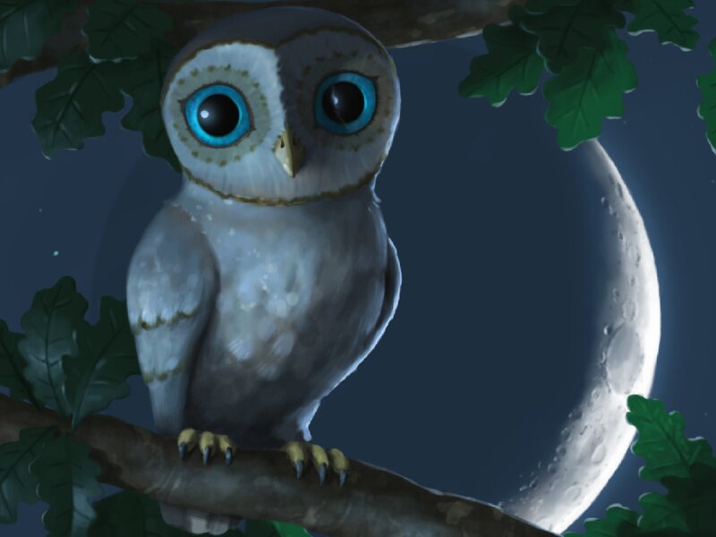 White Owl on Branch — Gray