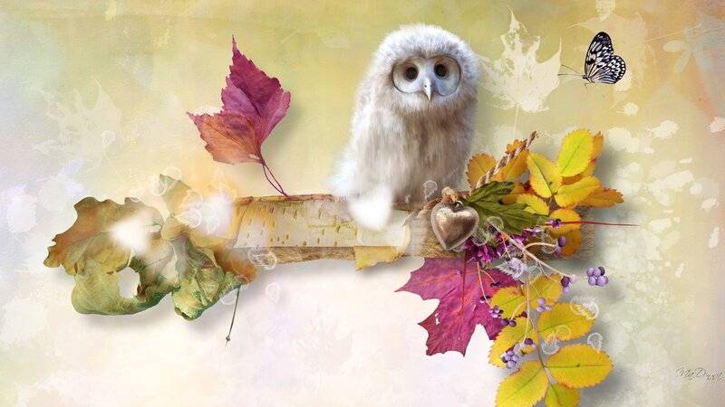 White Owl on Branch — Yellow