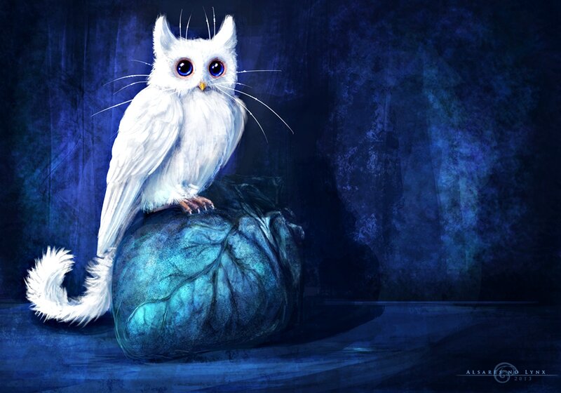 White Owl on Heart