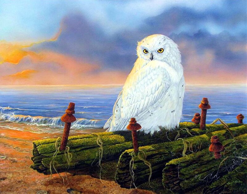White Owl on Log