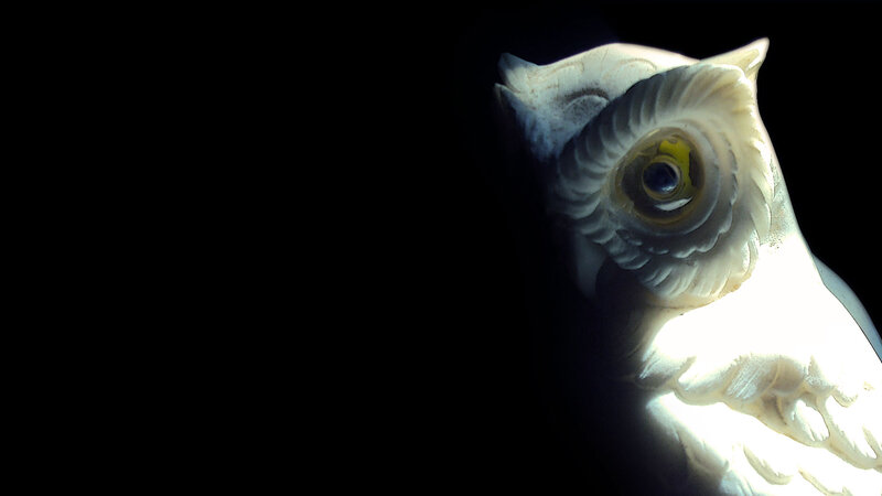 White Owl Statue
