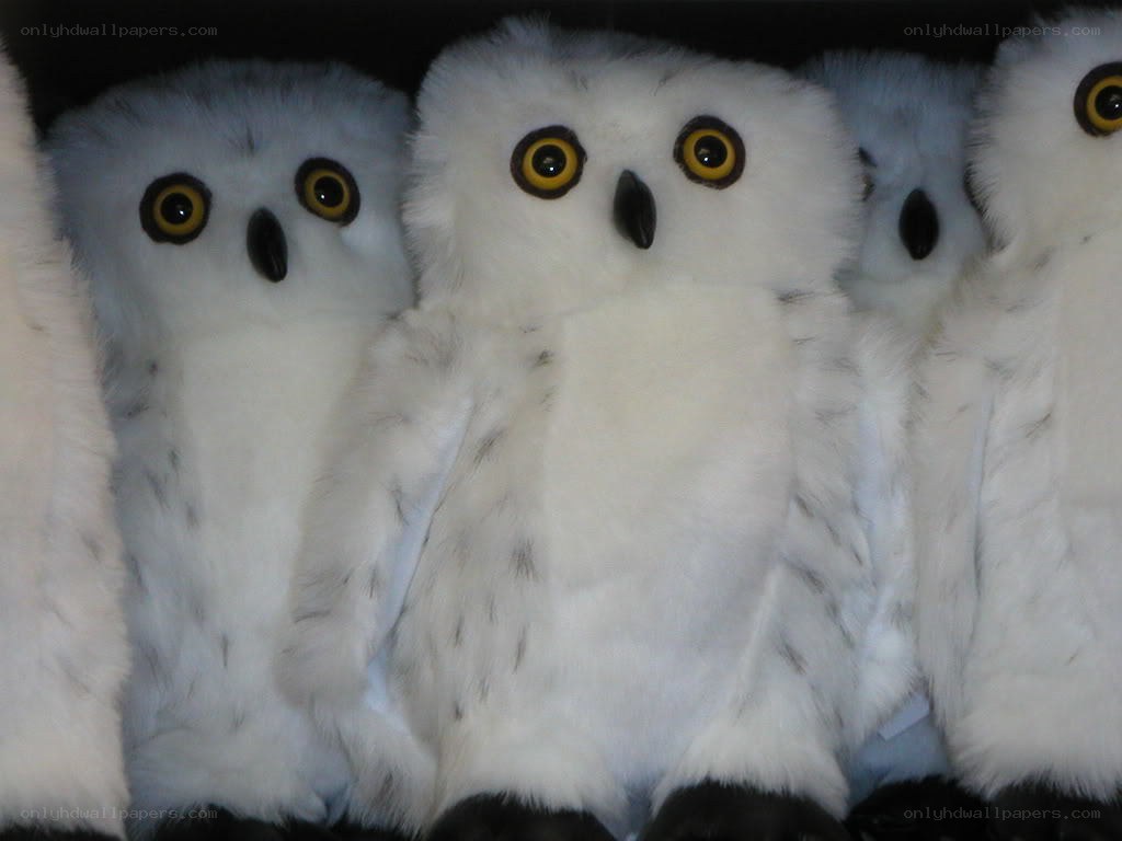 white owl stuffed animals