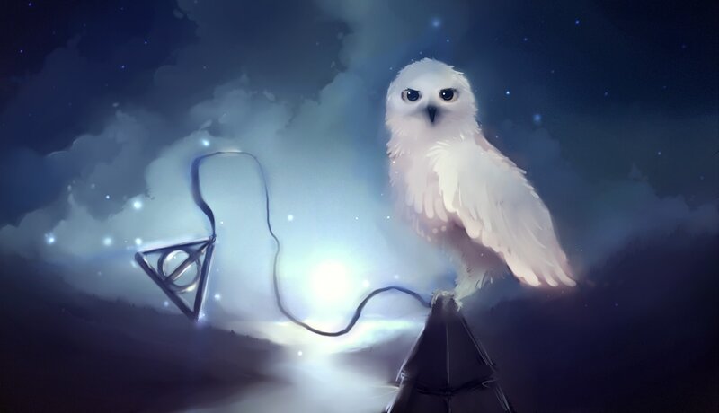 White Owl with Deathly Hallows