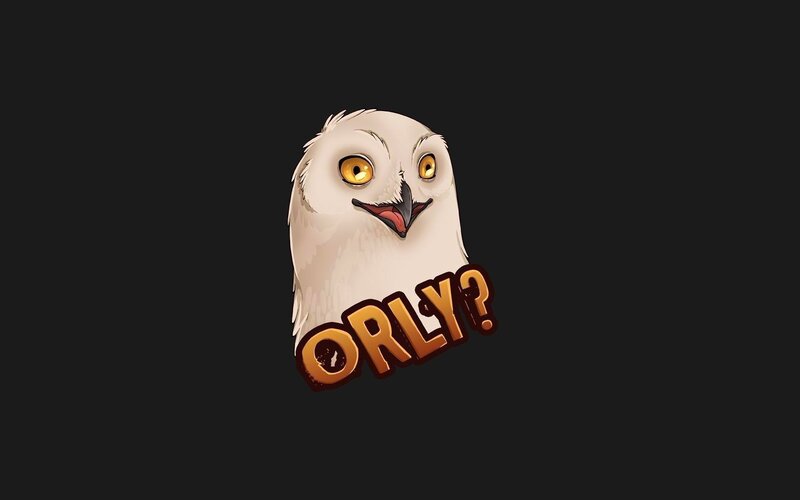 white owl with text