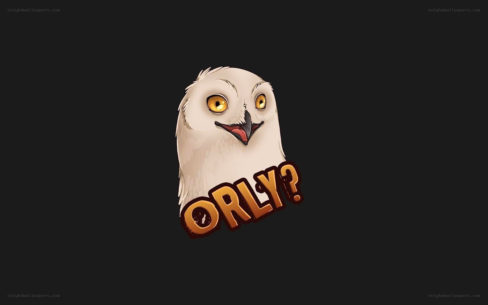 white owl with text