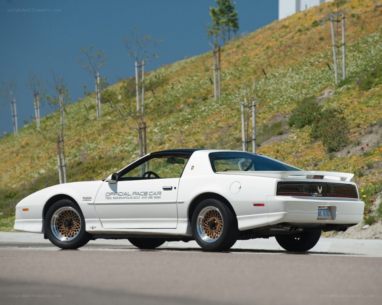White pace car on a road