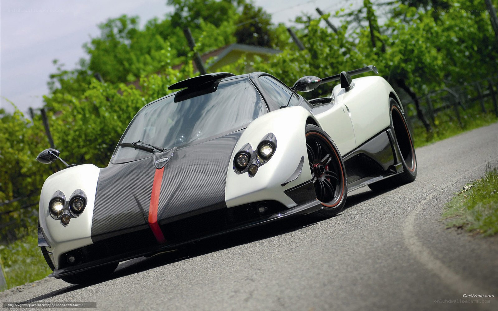white Pagani sports car