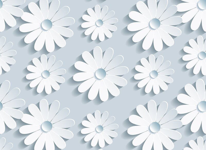 White Paper Daisies — Calm
