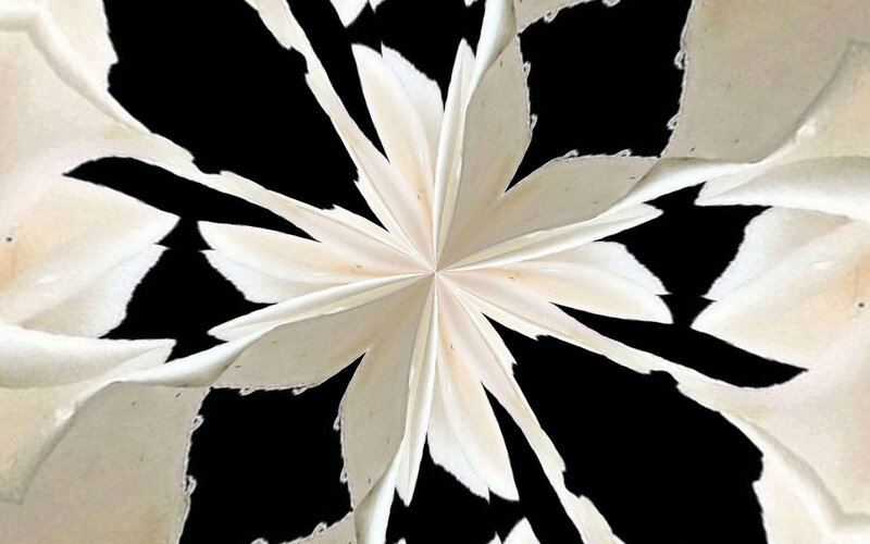 White Paper Flower