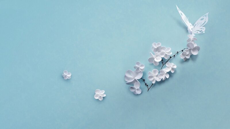 White Paper Flowers and Butterfly