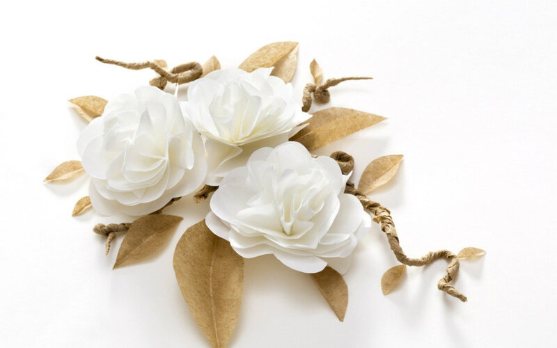 White Paper Flowers — Calm, Photograph