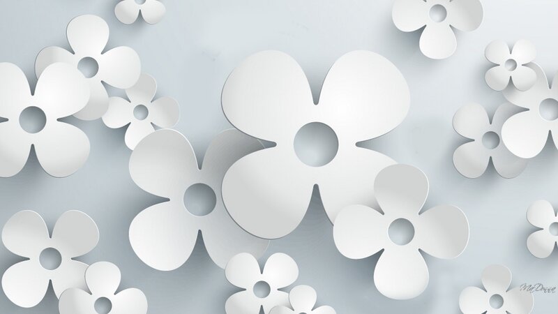 White Paper Flowers — Calm