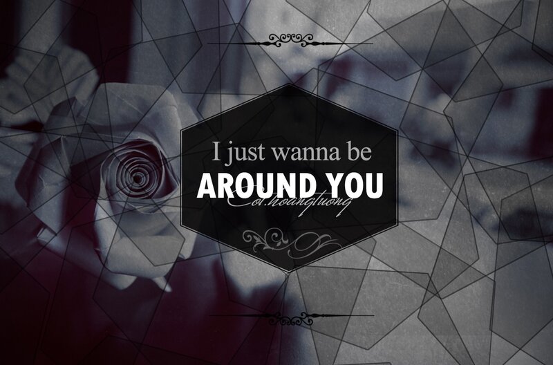 White Paper Rose — Black