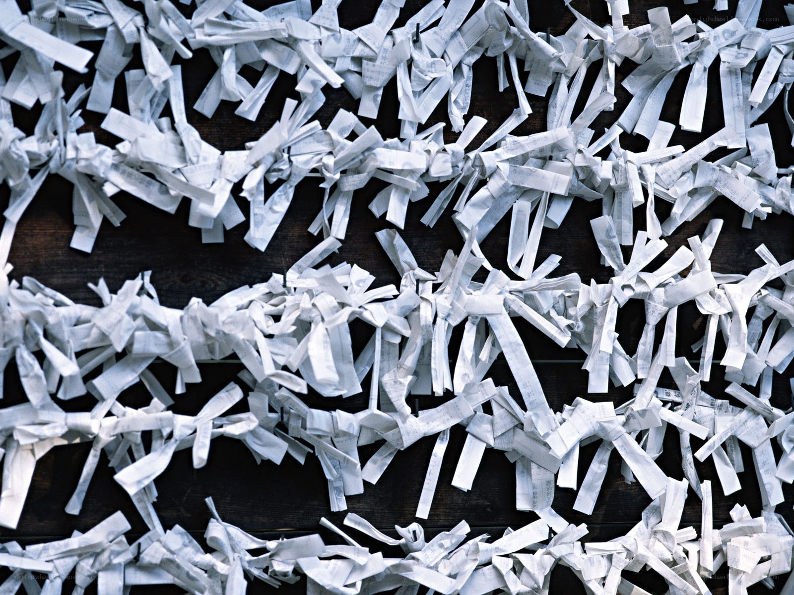 white paper strips on wood