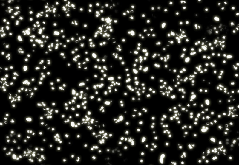 White Particles on Black — Calm