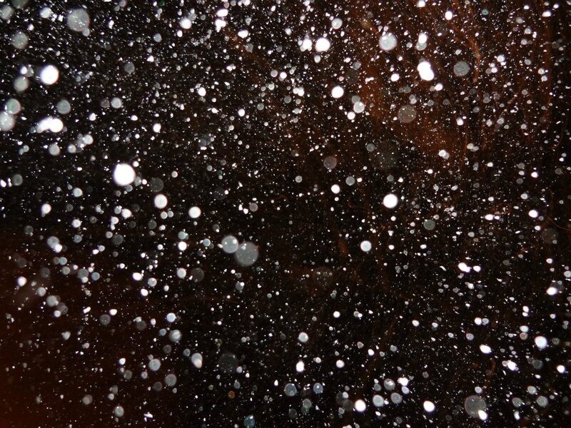white particles on dark surface