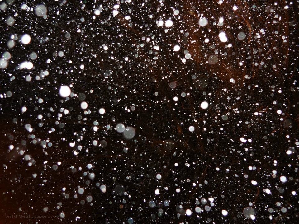 white particles on dark surface