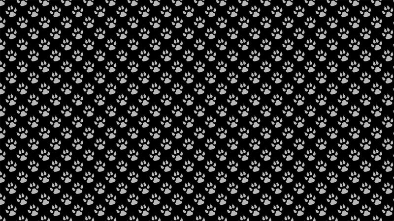 White Paw Prints — Black