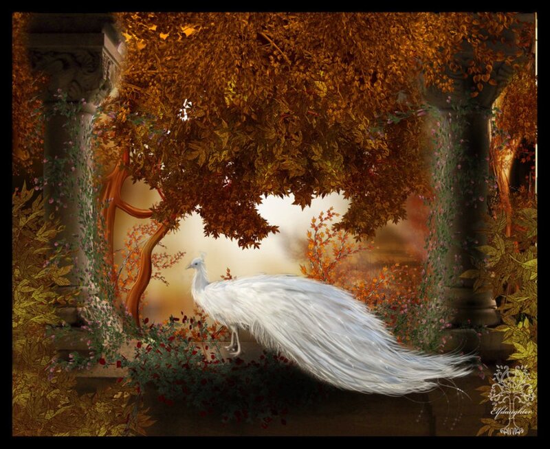 White Peacock in Garden — Serene, Autumn