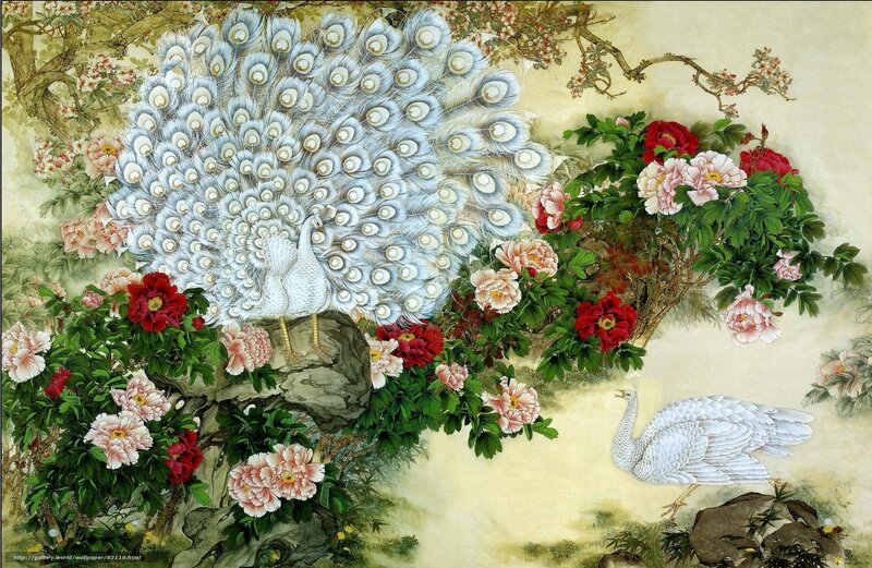 White peacocks among peonies