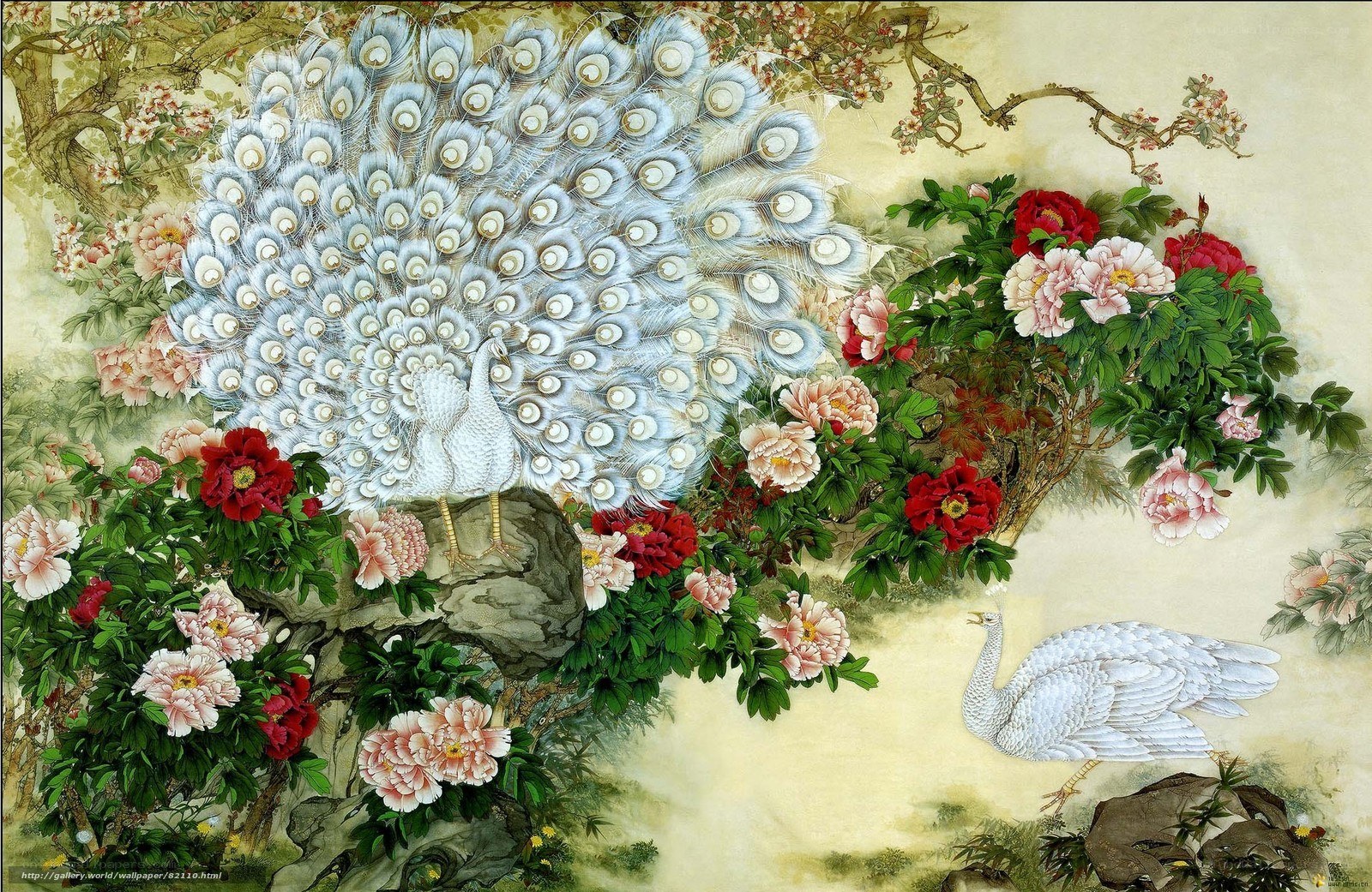 White peacocks among peonies