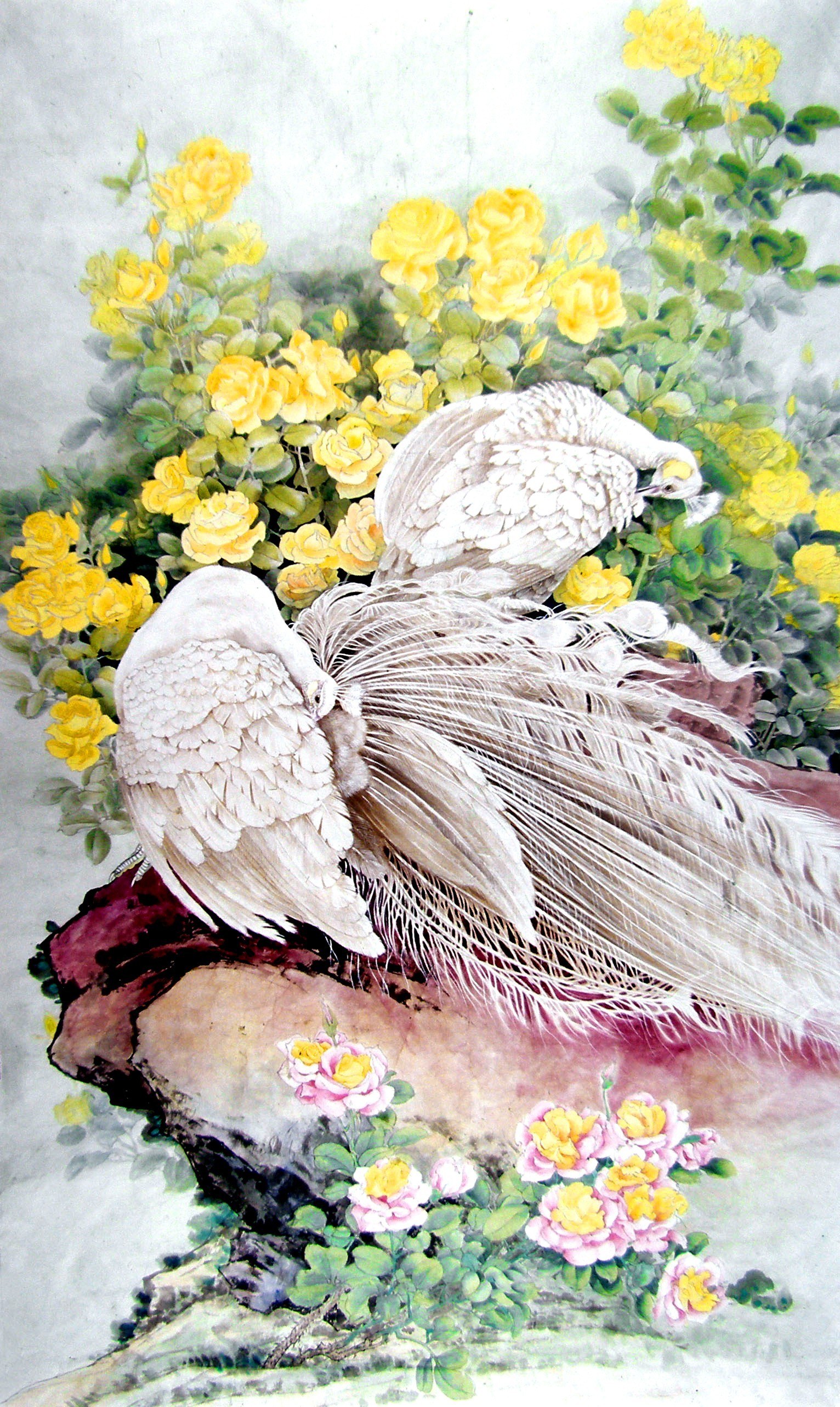 White peacocks in a garden