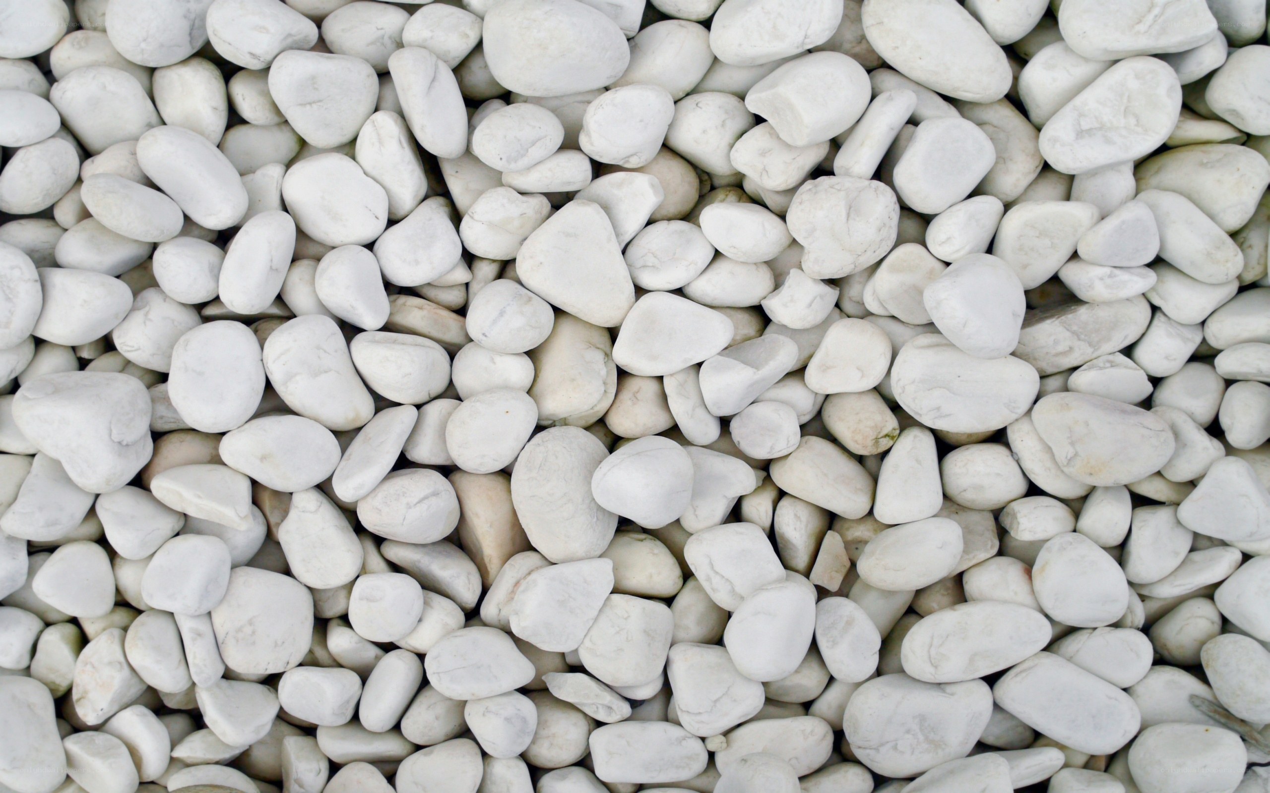white pebbles texture