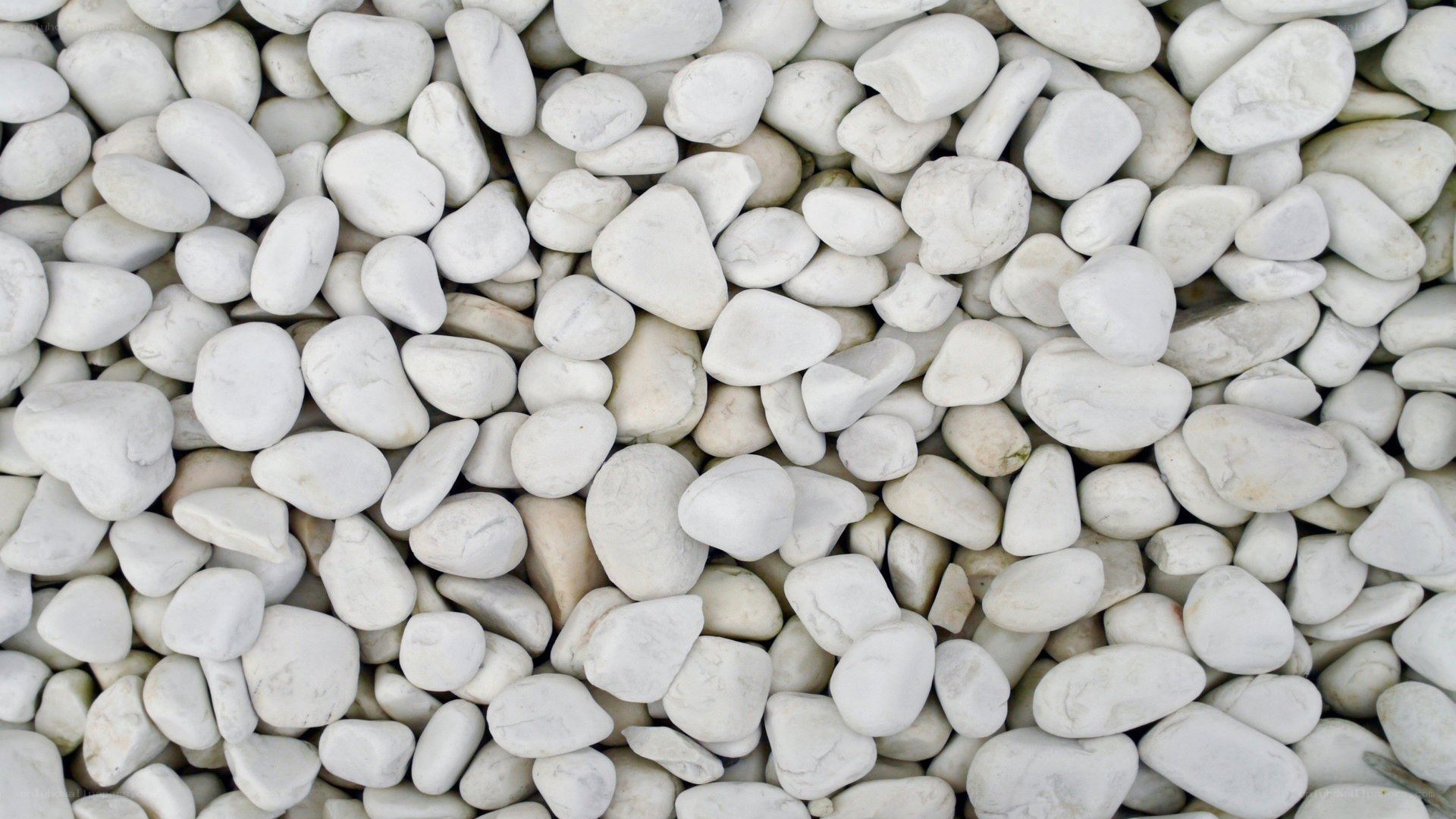 white pebbles texture