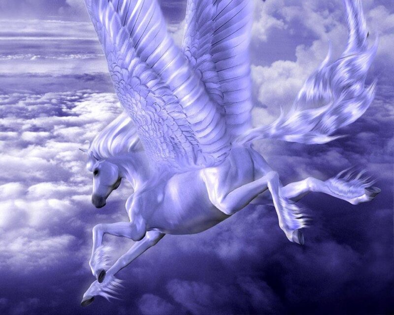 White Pegasus Flying in Clouds
