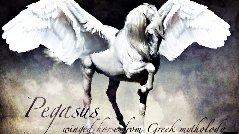 White Pegasus Horse