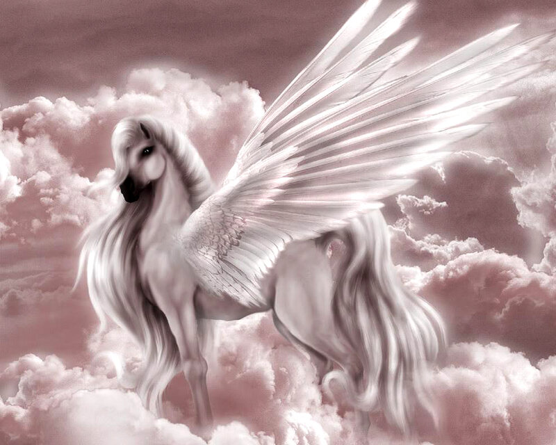 white pegasus in clouds