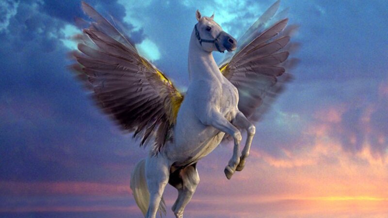 white pegasus in flight