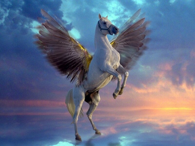 white pegasus in flight