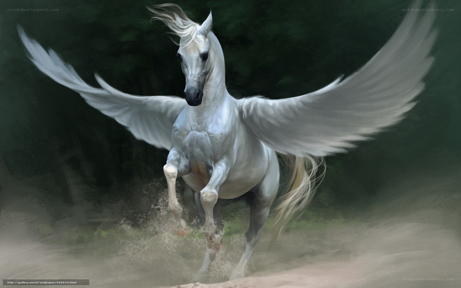 white pegasus in flight
