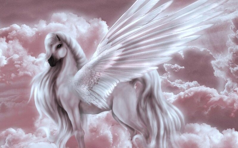 white pegasus in pink clouds