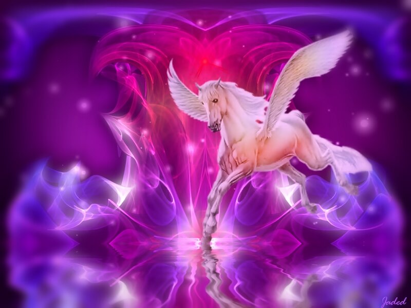 White Pegasus in Purple Light