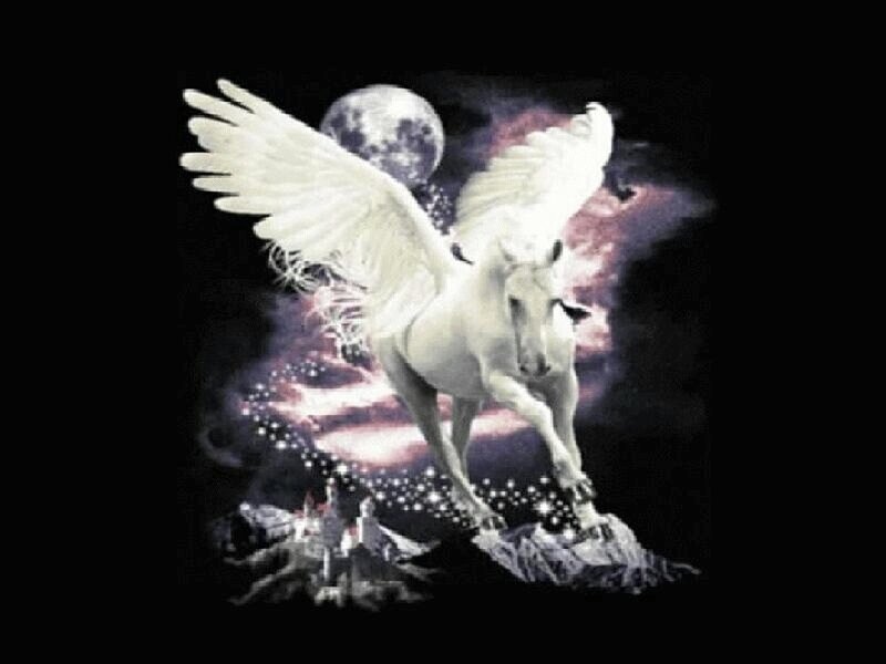 White Pegasus in Space