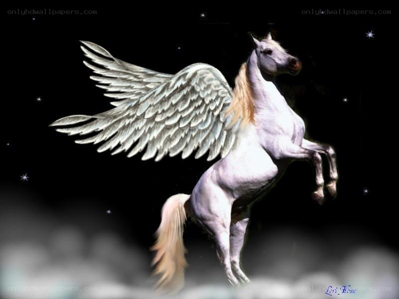 white pegasus in starry sky
