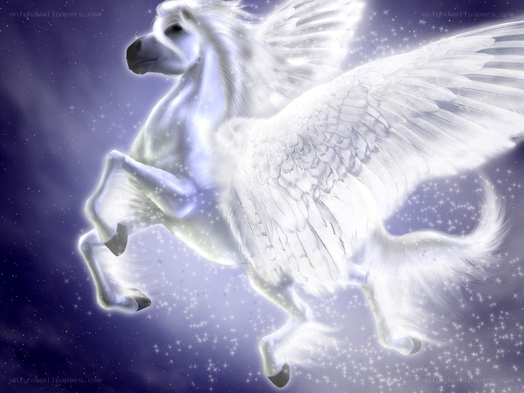 White Pegasus in Starry Sky