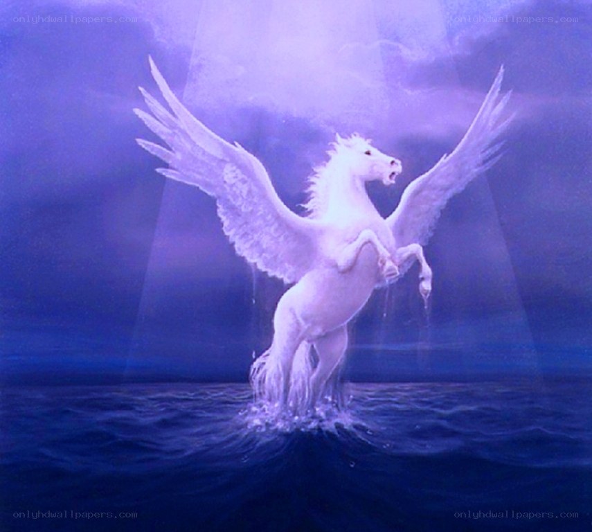 White Pegasus in the Sea
