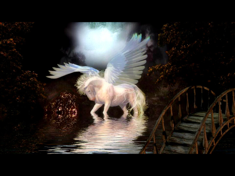 White Pegasus in Water