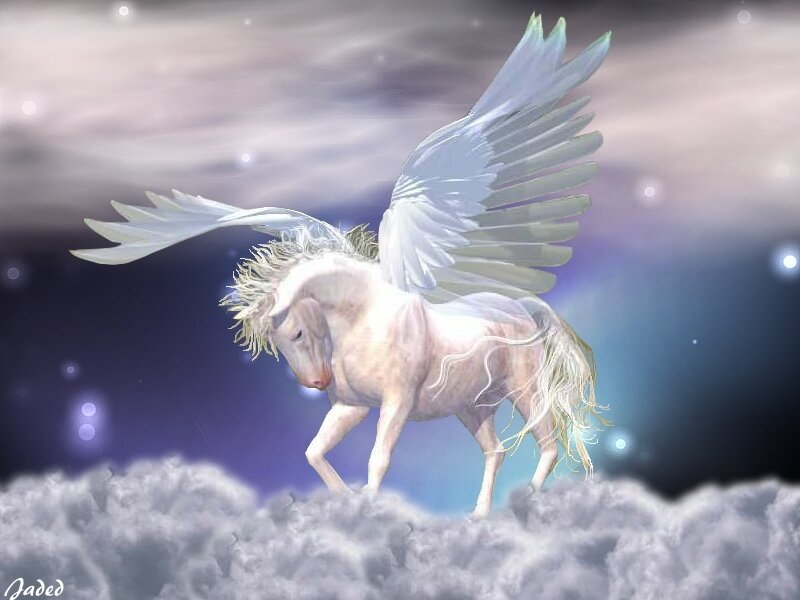 White Pegasus on Clouds