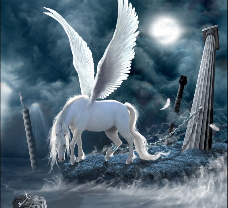 White Pegasus on Rock