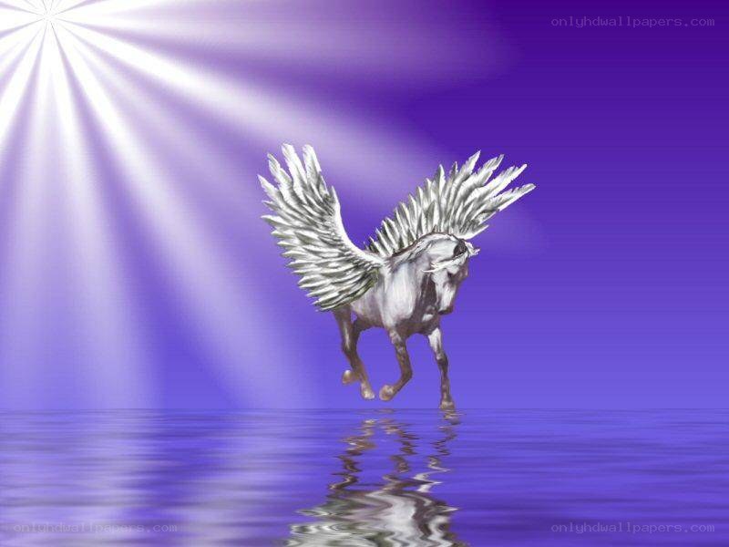 white pegasus on water