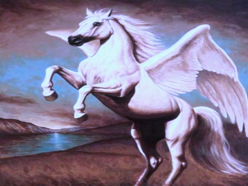White Pegasus Rearing