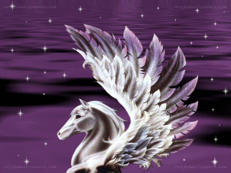 white pegasus with purple wings